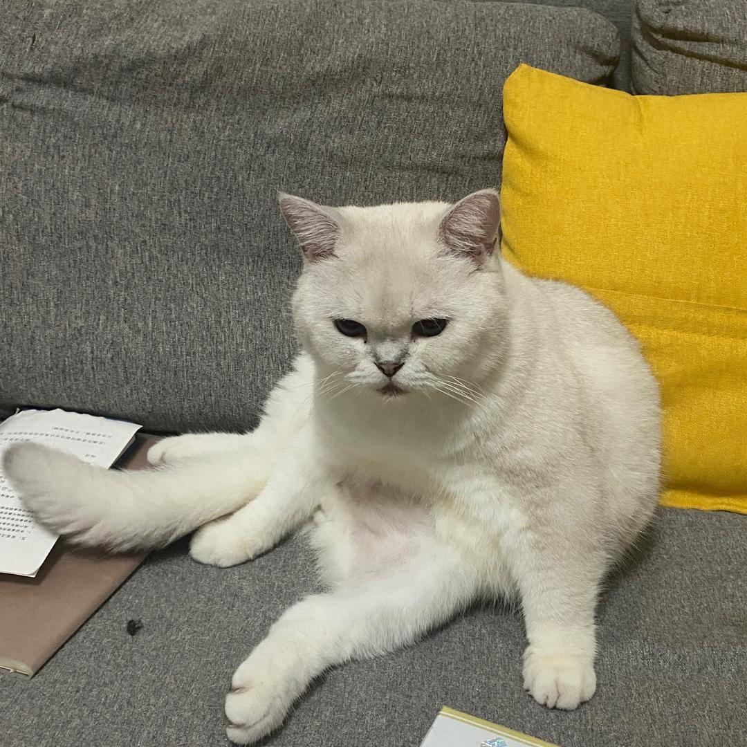 zzzzzz