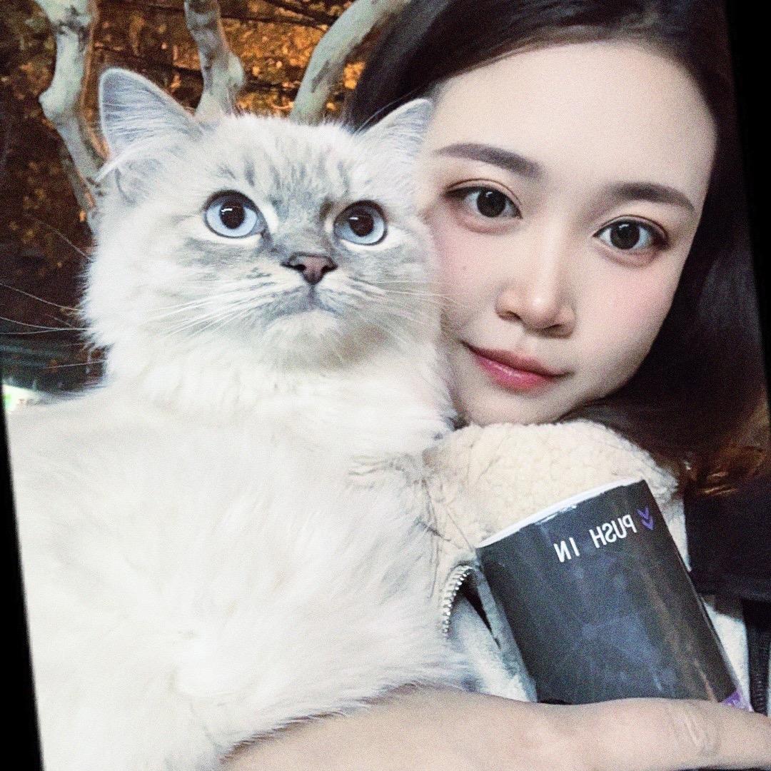 财神爷独生女（窗帘定型）