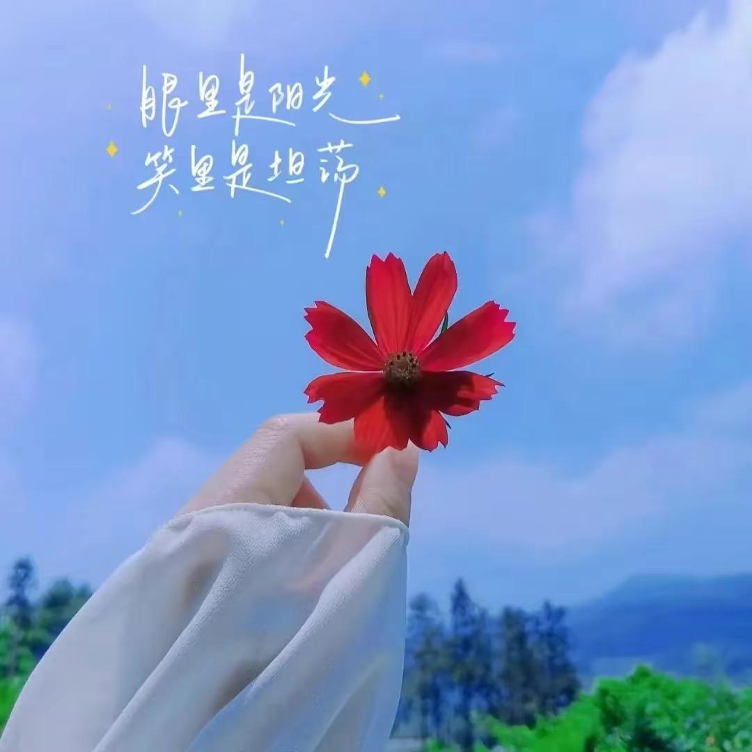 忘忧草