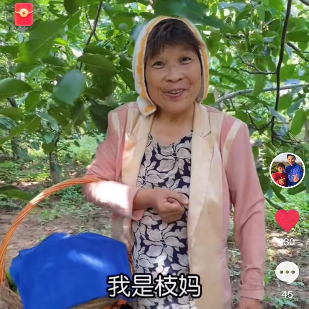 枝妈龙娃