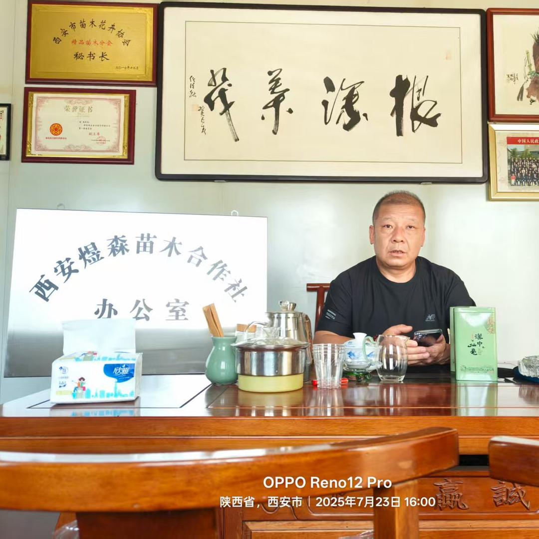 西安煜森园林绿化专业合作社