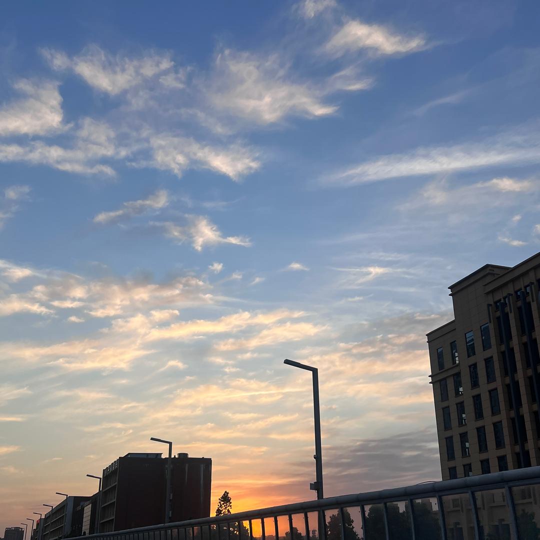 小阳