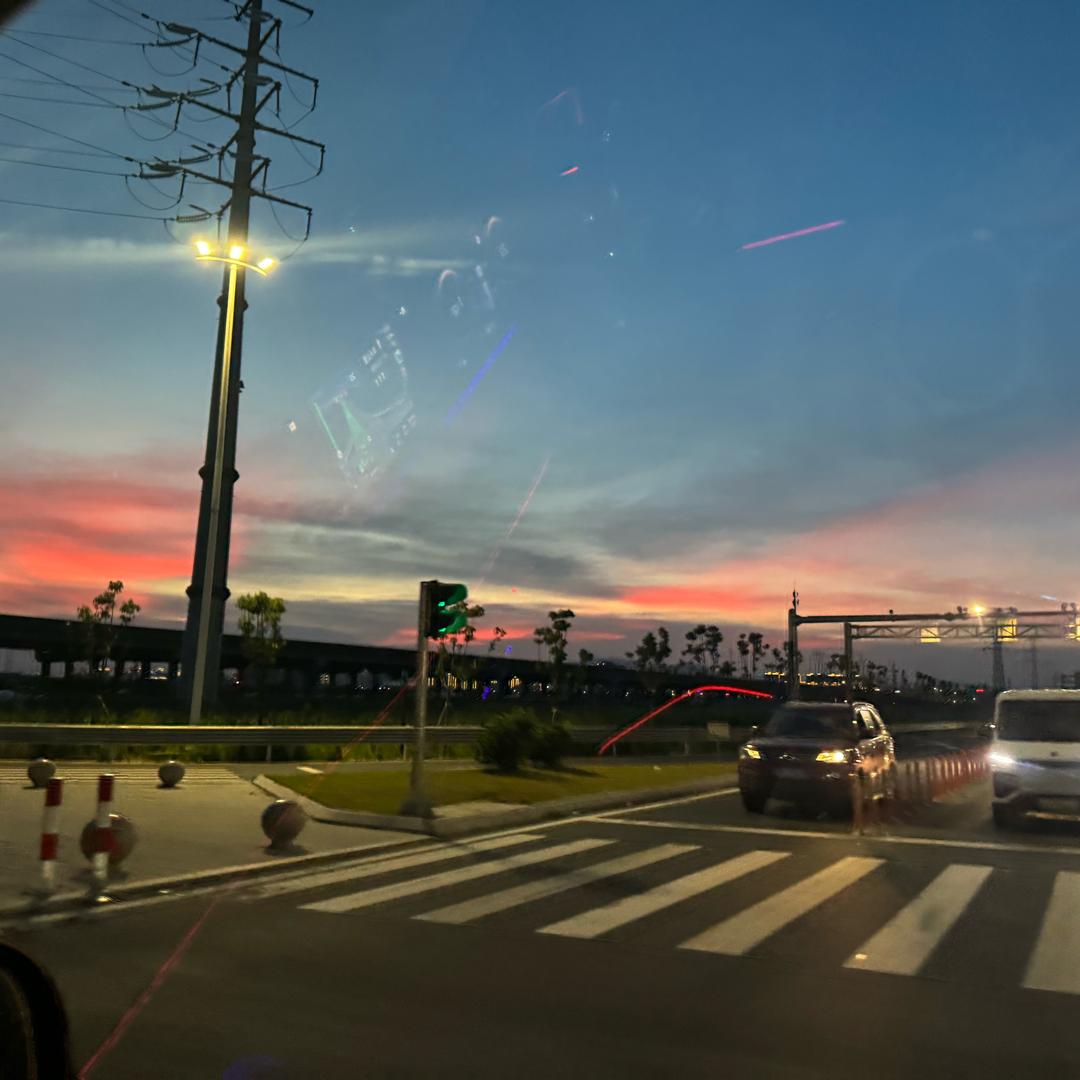 一只小小鸟