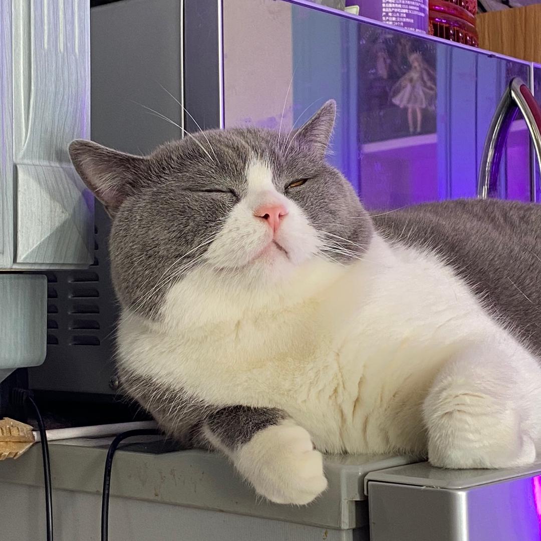 肱二头肌夹快门