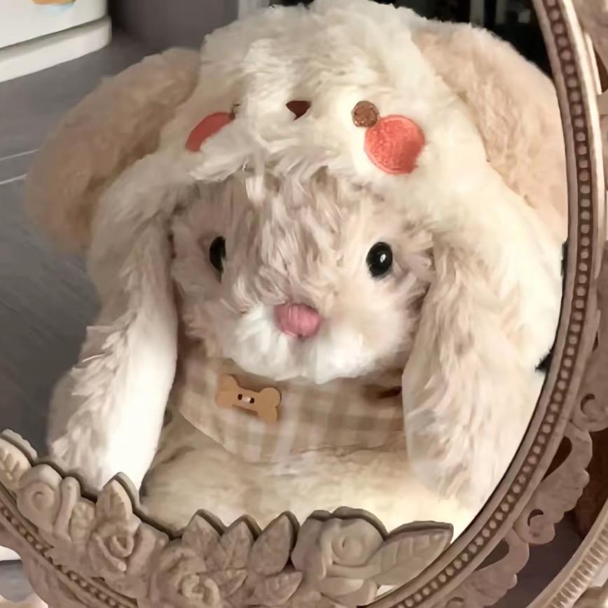 侬侬.