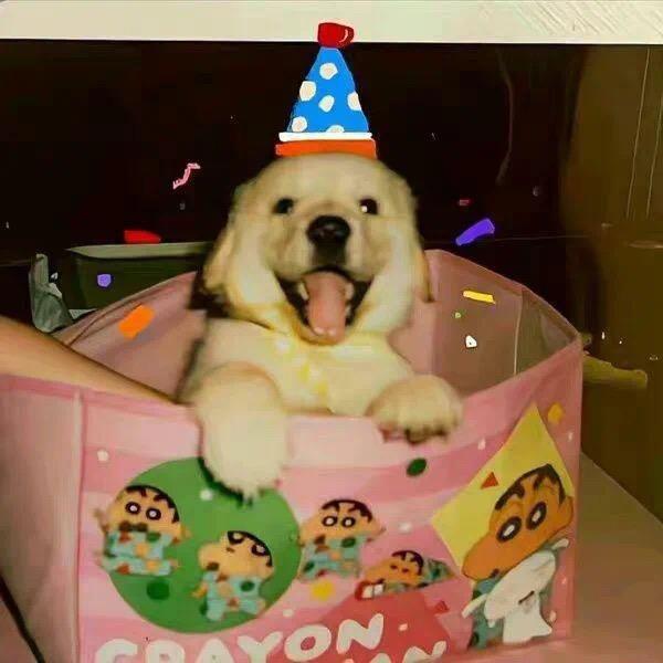 yy