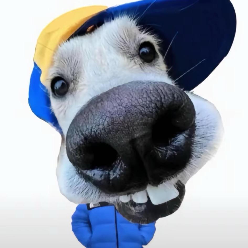 我又是谁的小狗～