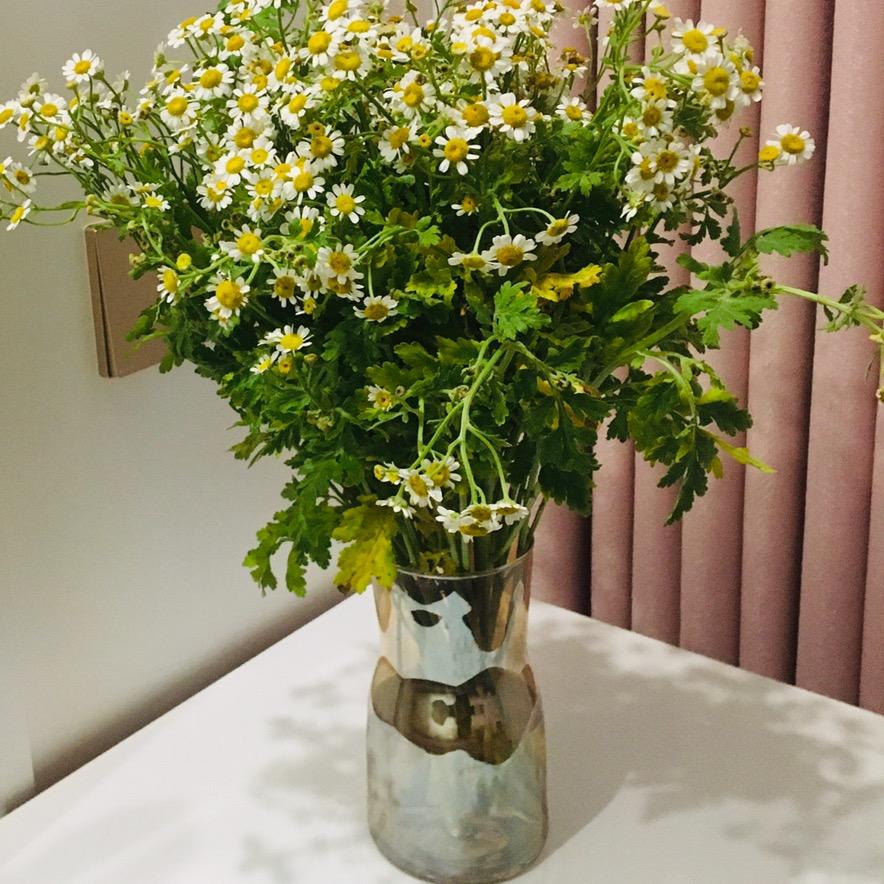 红霞