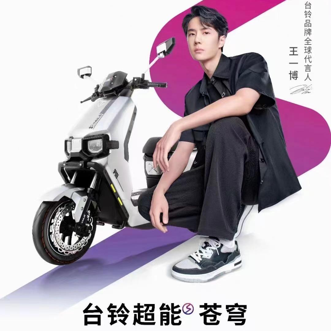 屈家岭管理区台铃电动车店