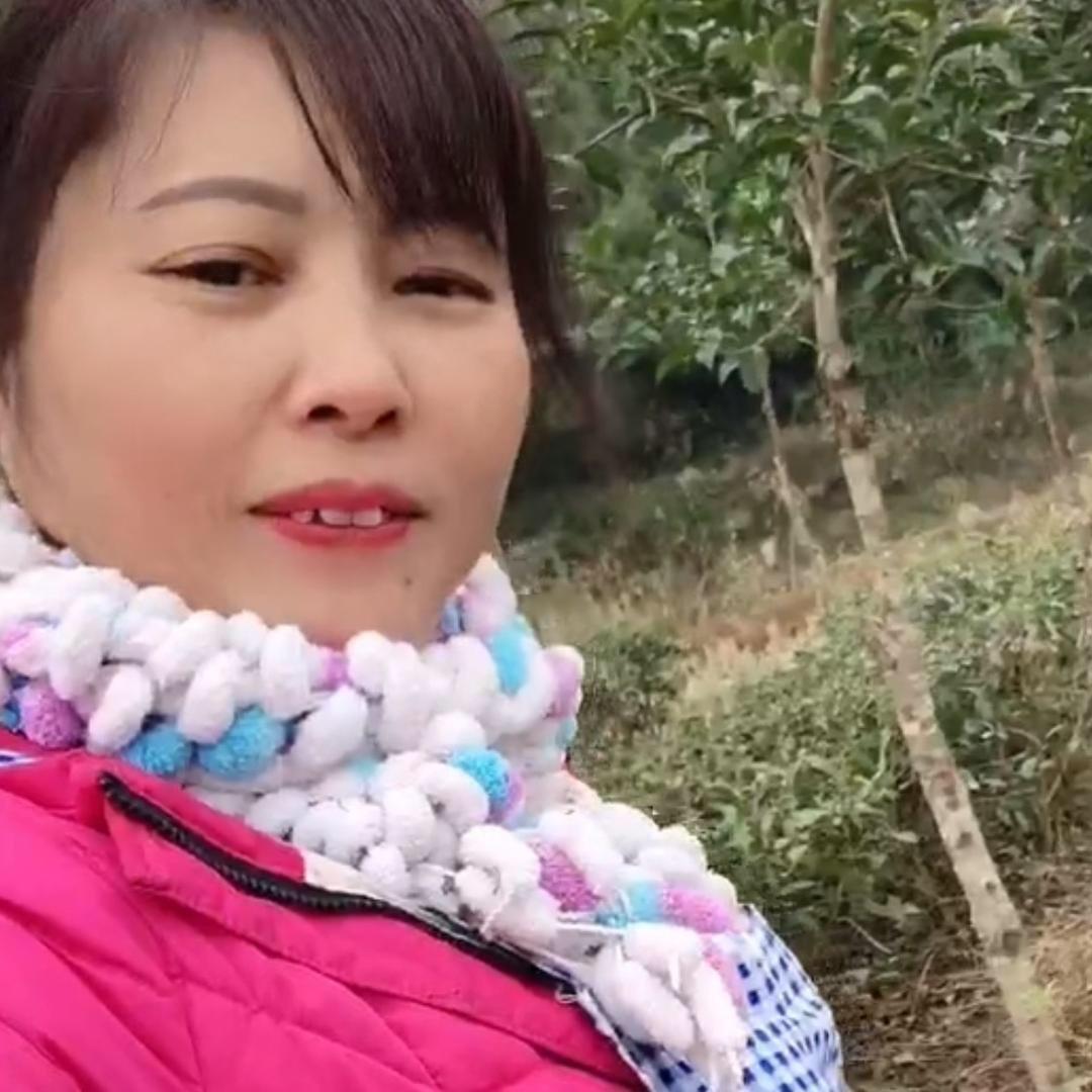 招财姐
