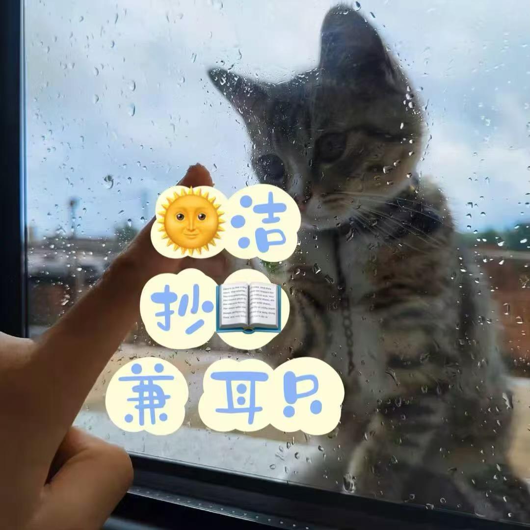 小鱼打瞌睡