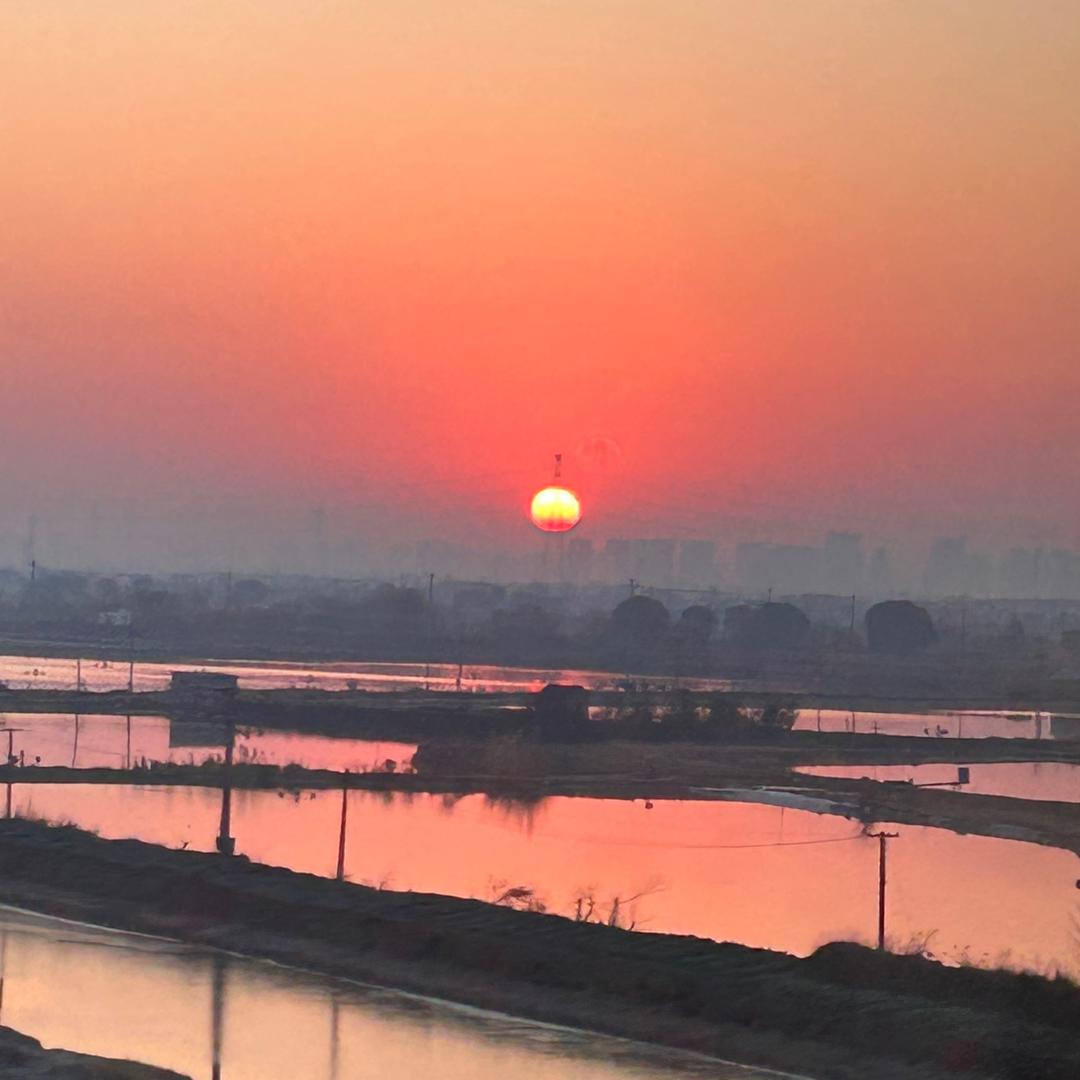 一颗大西柚