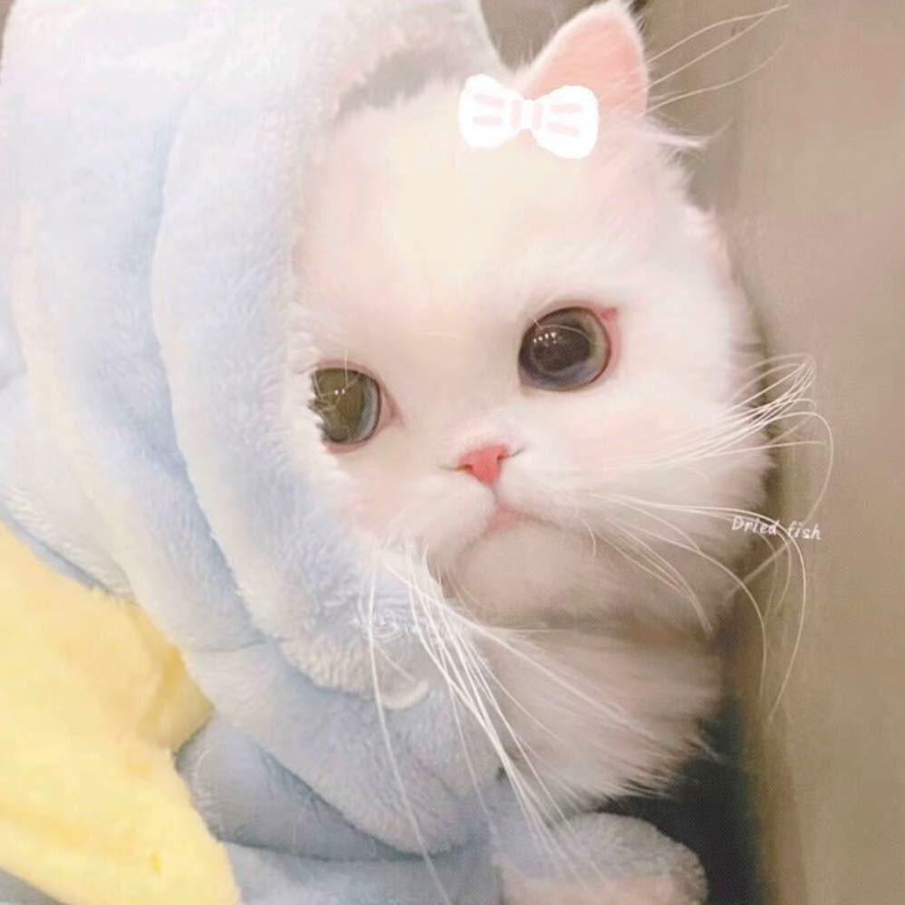 yy