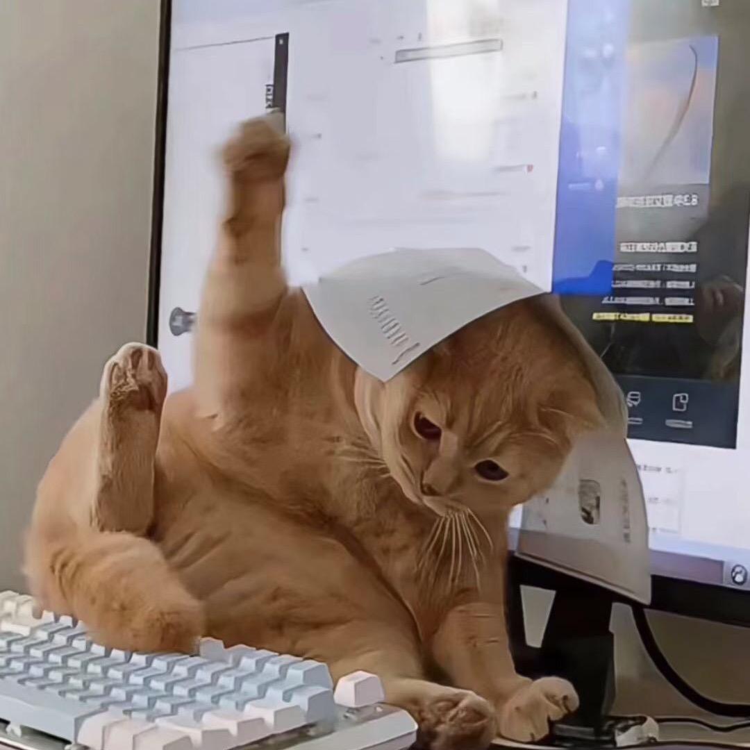 OS.