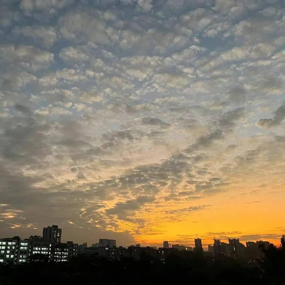 拾梦📷