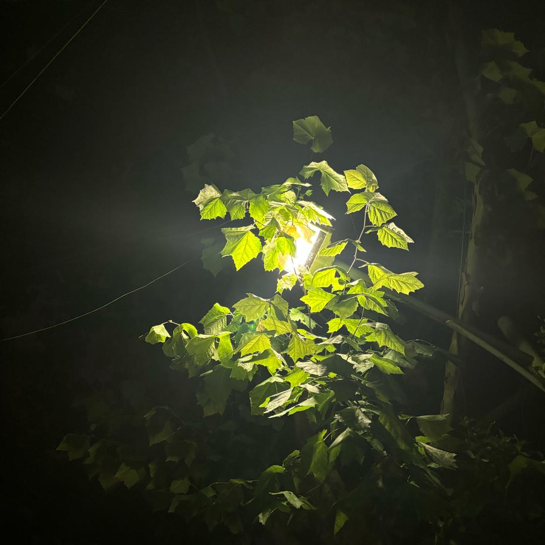 放全国一金一 接全银河系