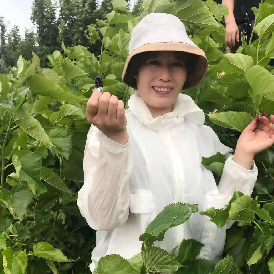 鑫鸿艺