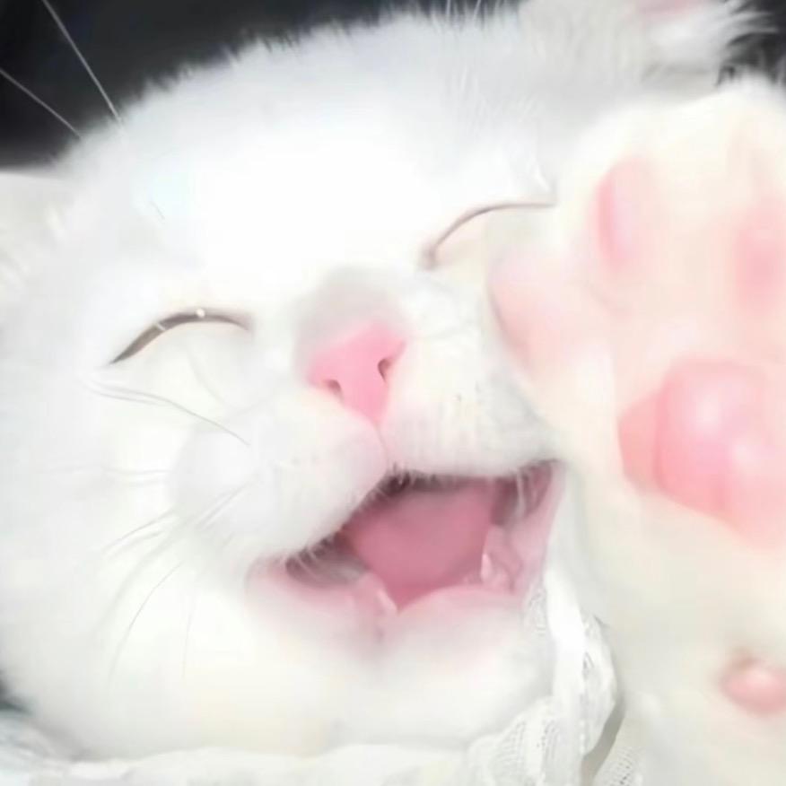 土豆丝