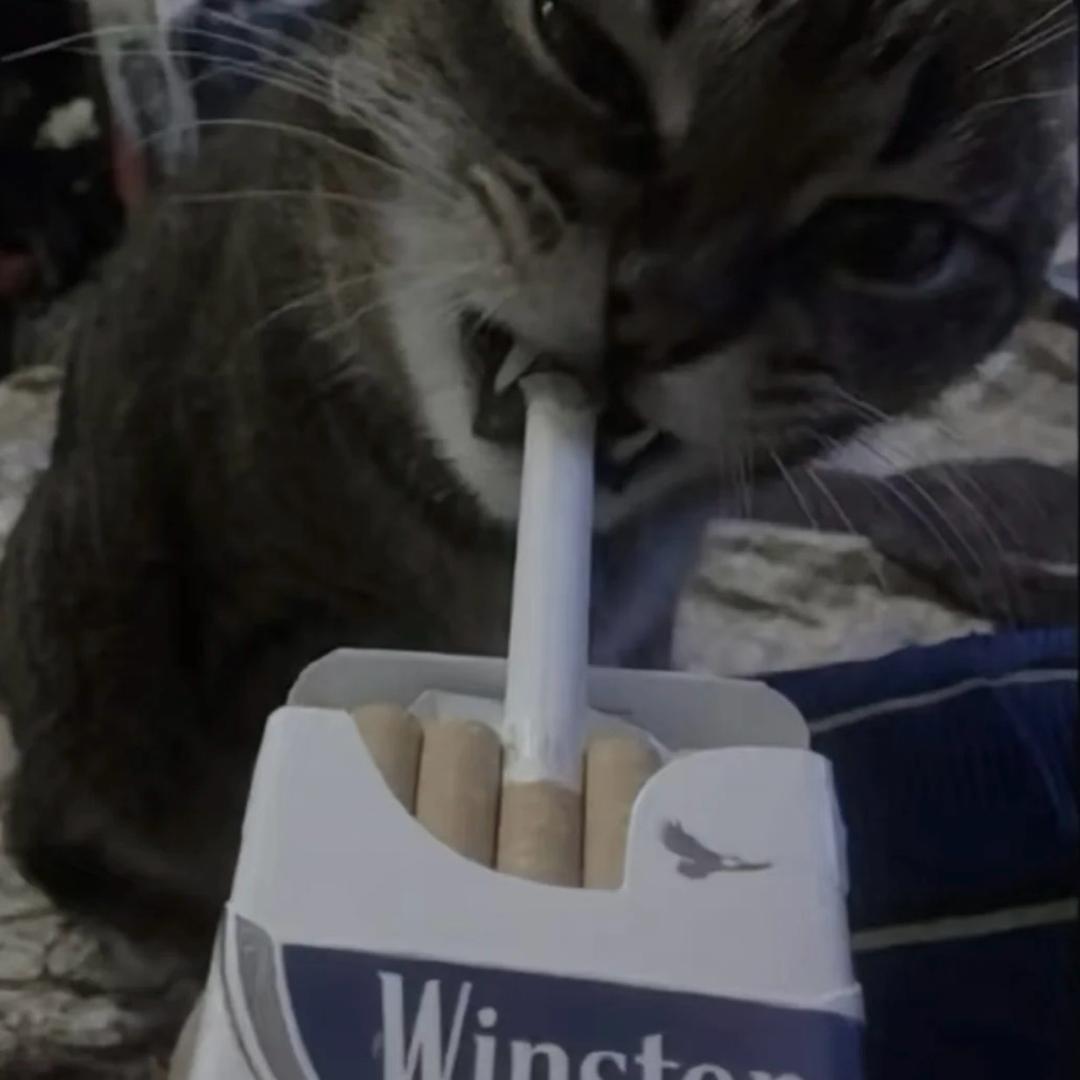 Iminhell