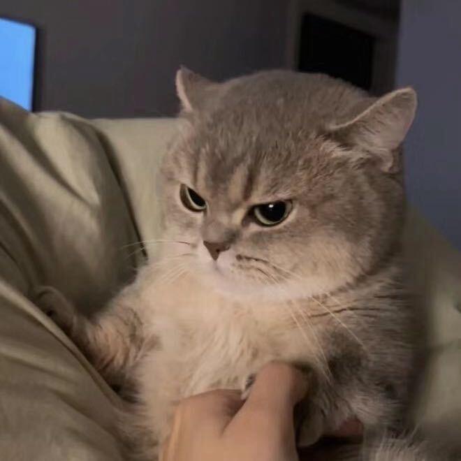 ㊇方來財～蕾儿专属🍬