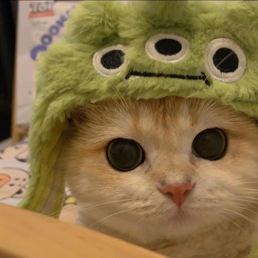 酸菜鱼”