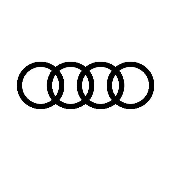 一汽奥迪南通新瑞奥PPE体验店