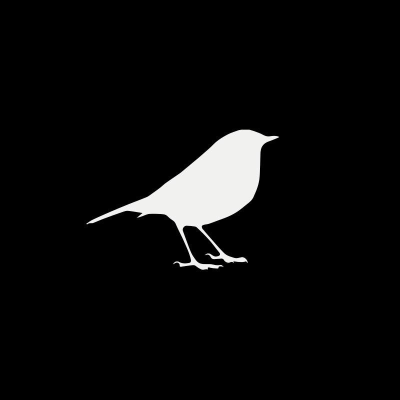 Robin甄选