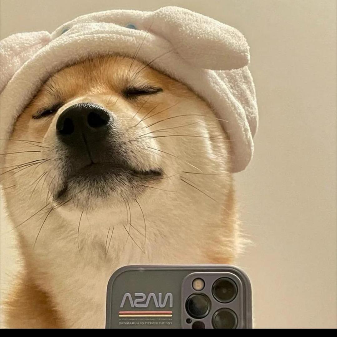 万般🧼MAOGTAN