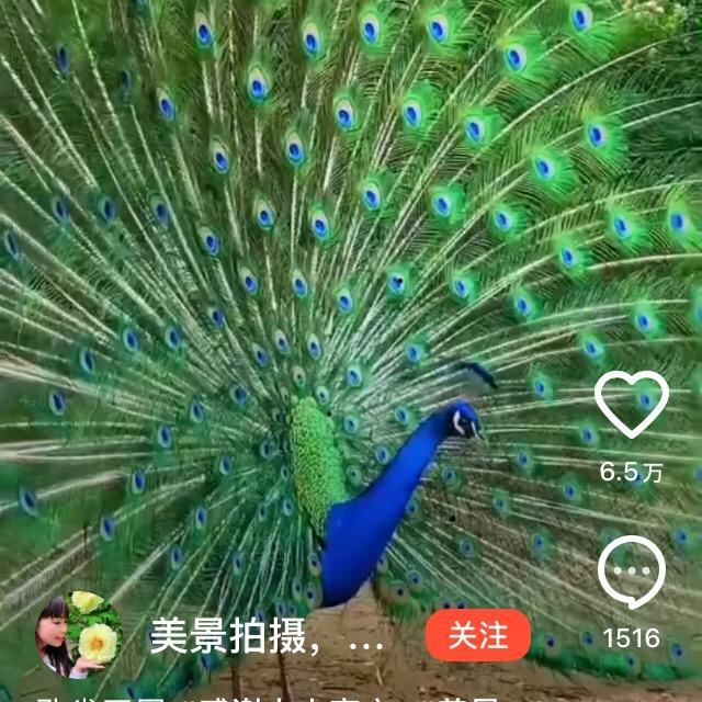 有志者事竞成