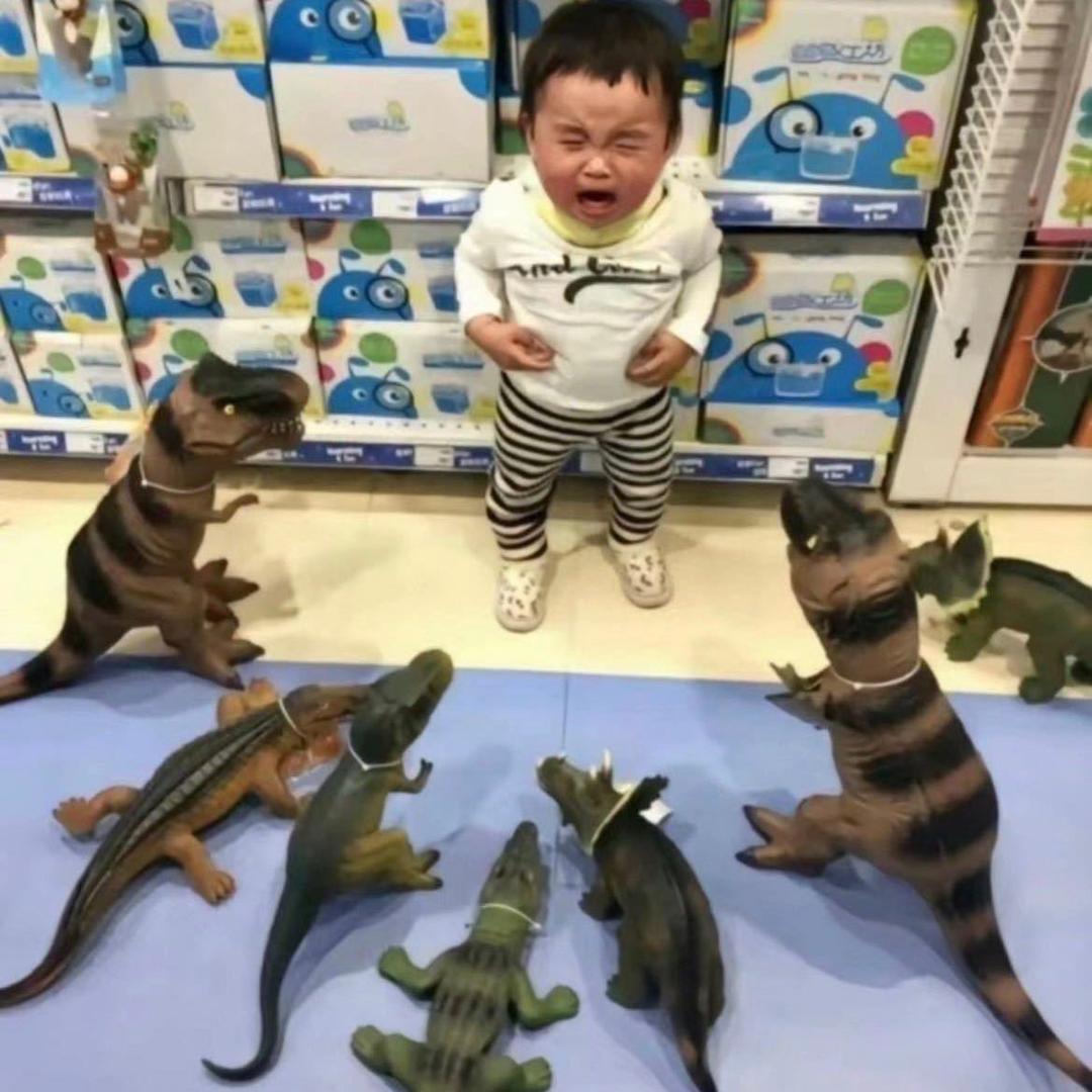 少点评本少