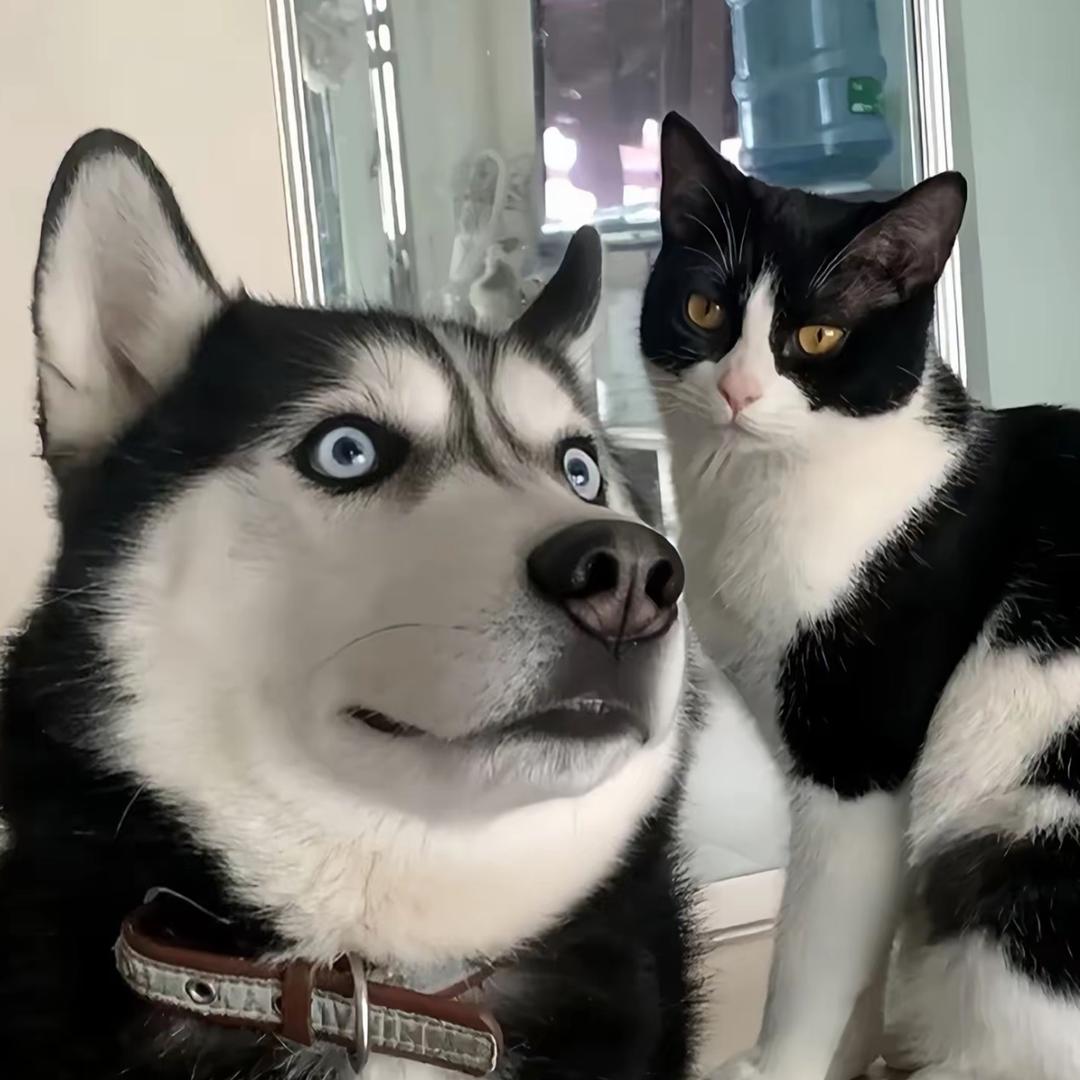 股东