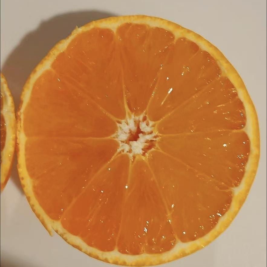 川渝生鲜蔬果优品店
