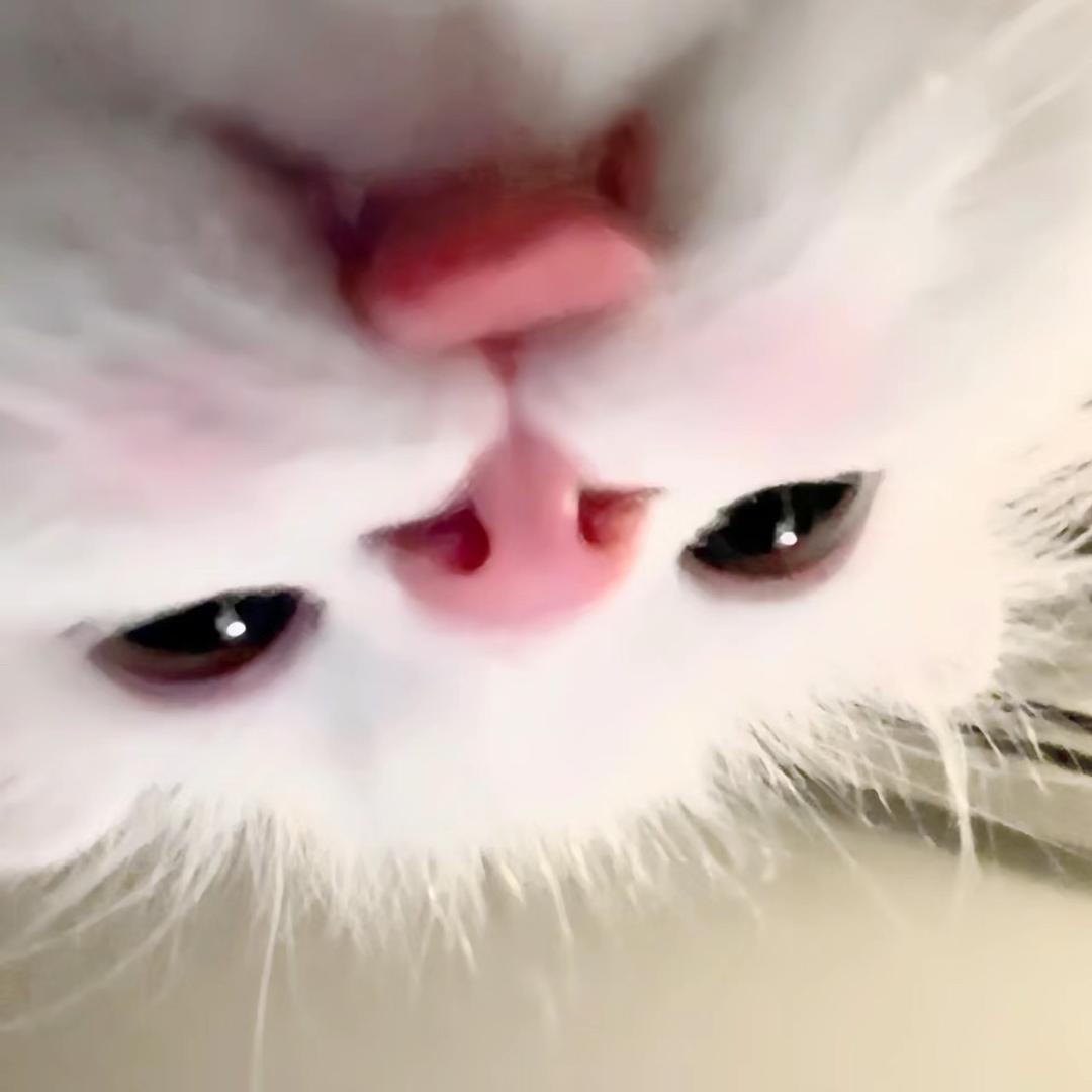 小余nie