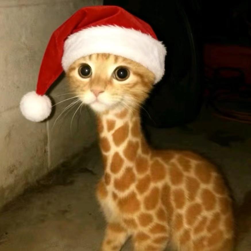 快乐吃手手👋 ¹²³¹