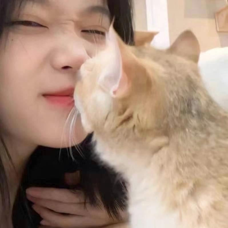 牛奶八宝粥