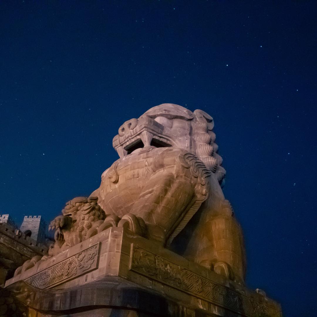 陕北白小白