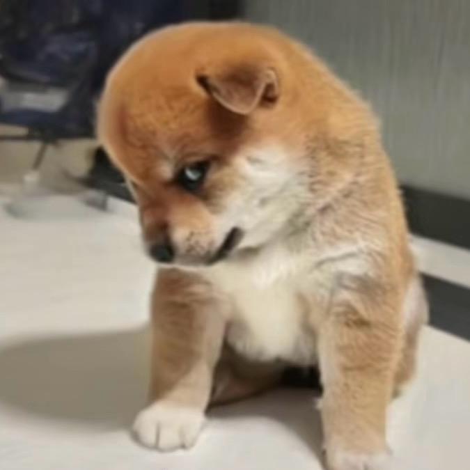钓什么东东