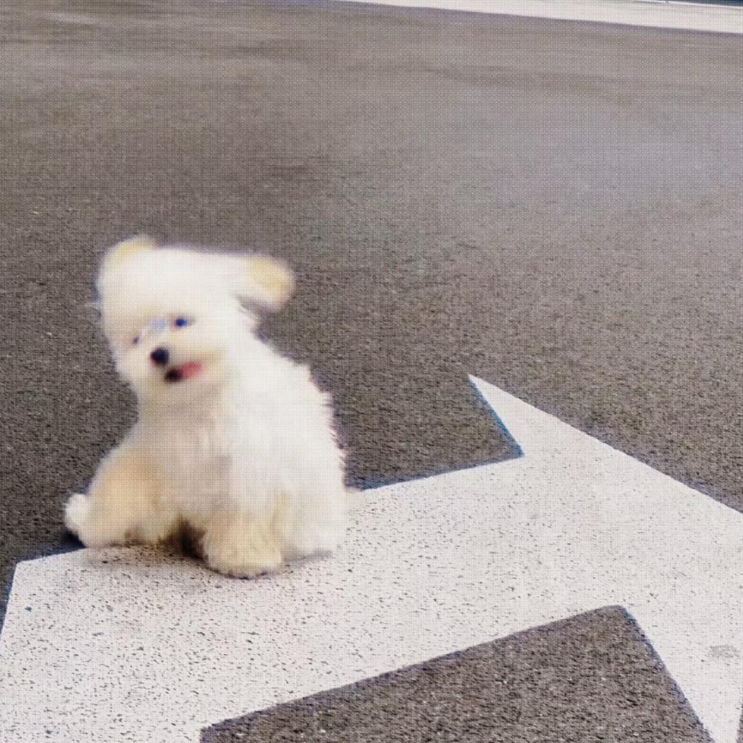 不争口气争馒头