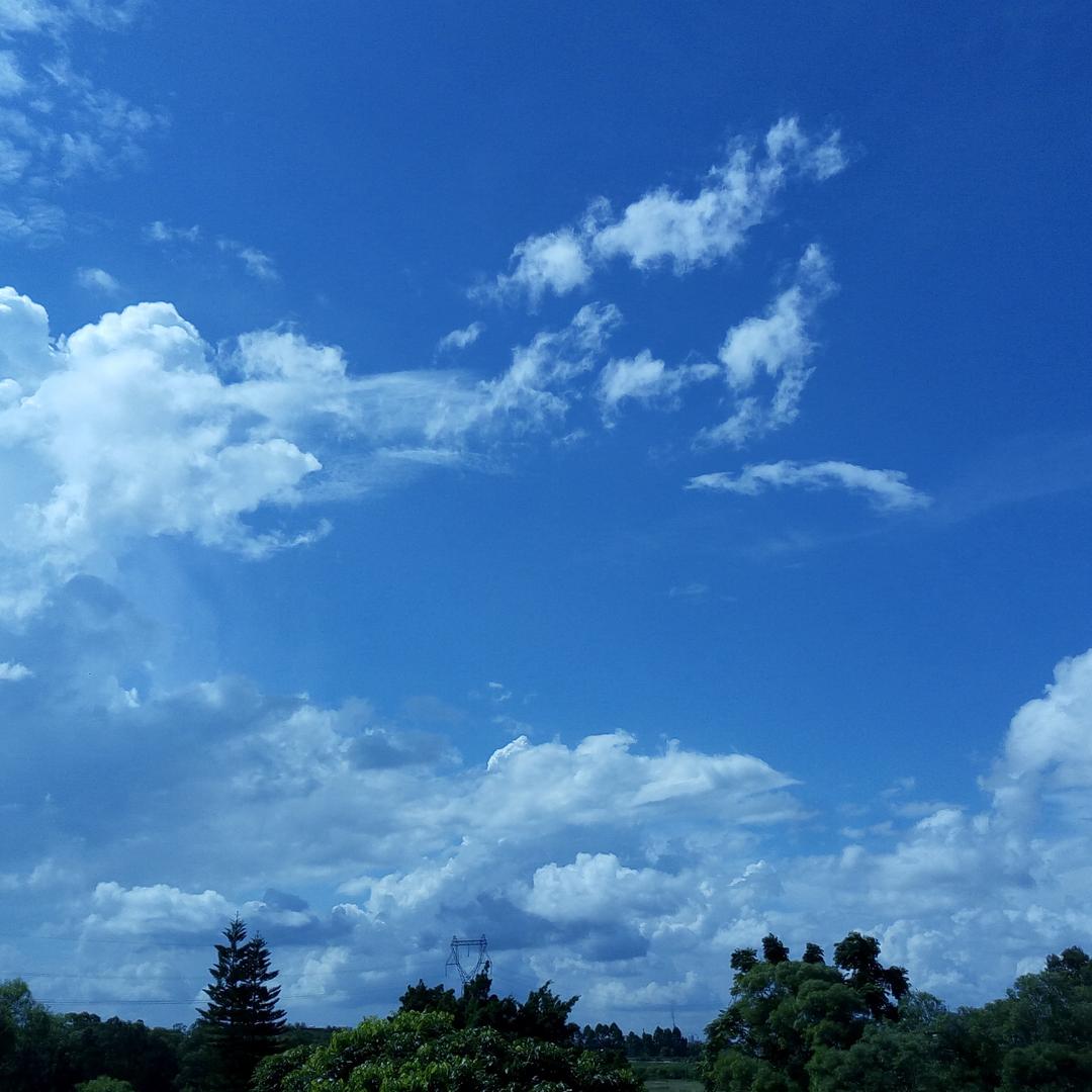 零零三