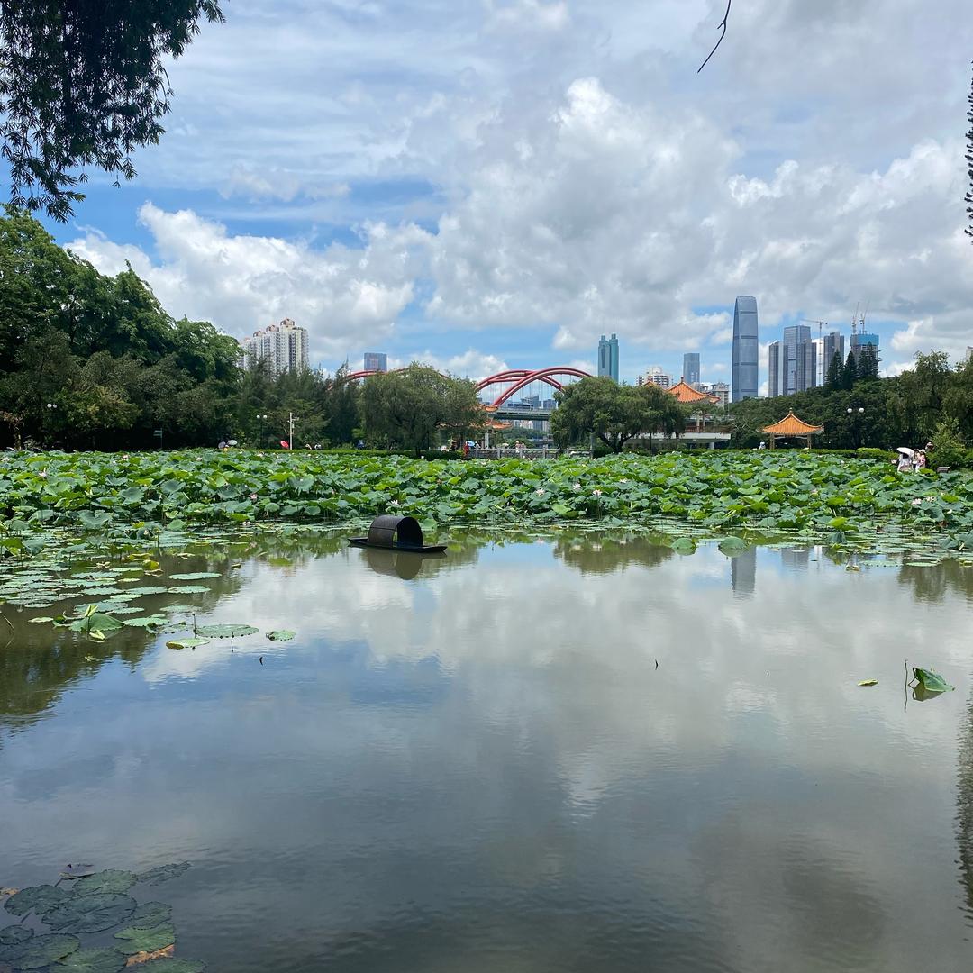 深圳小罗探房