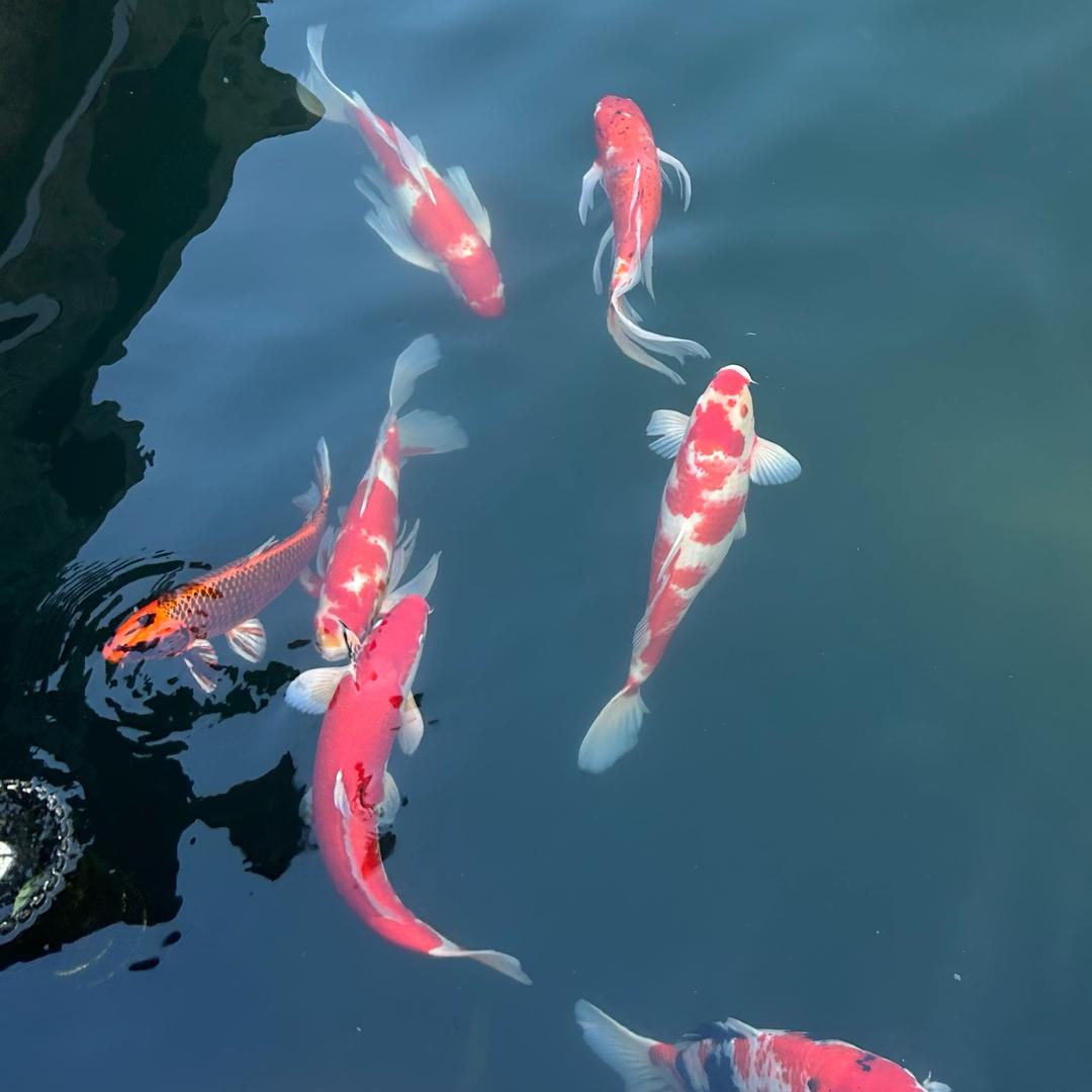 永不言弃