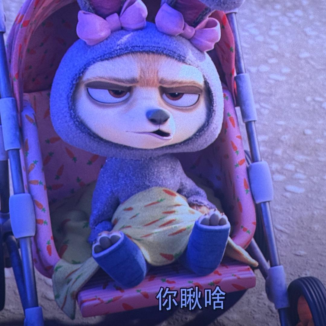 🌿拾光者·花草主理人