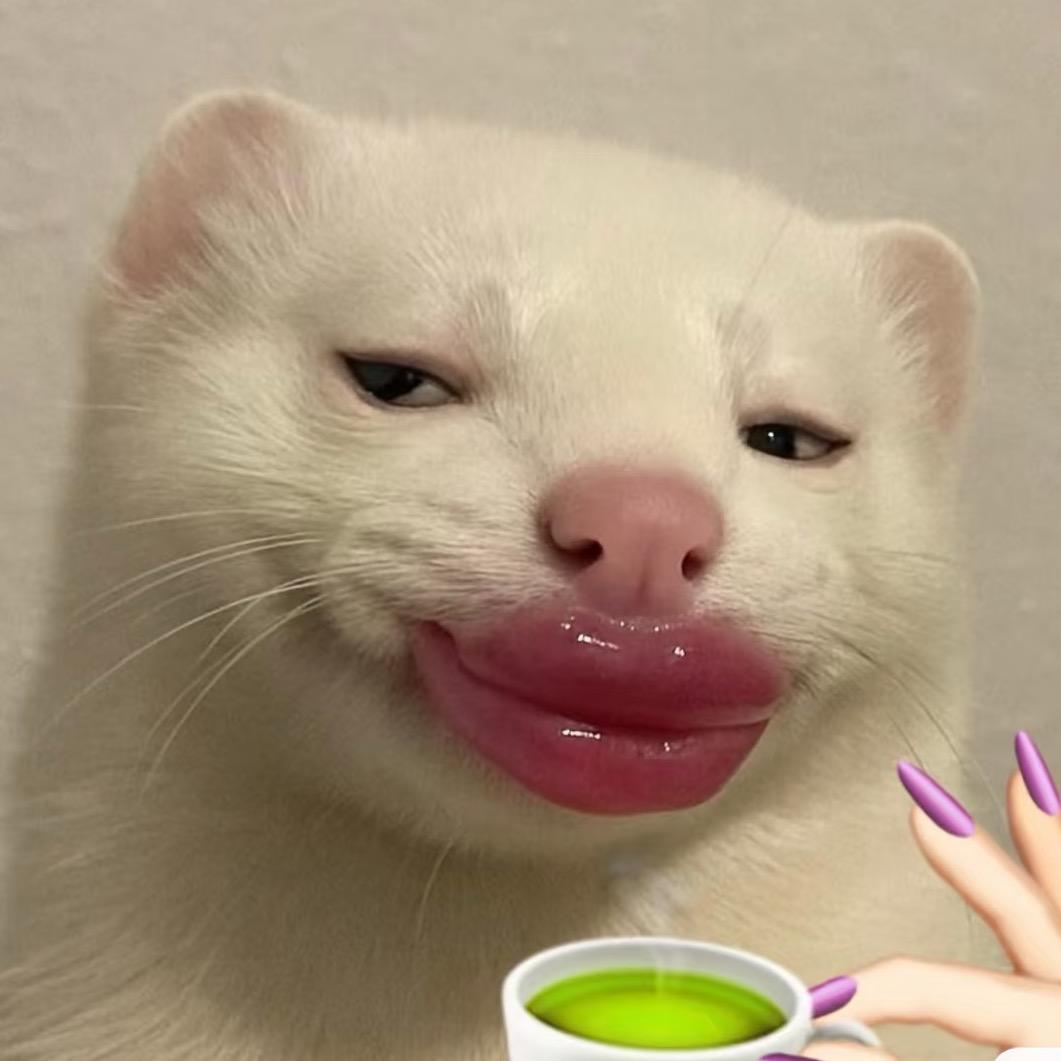 这里有只小猫