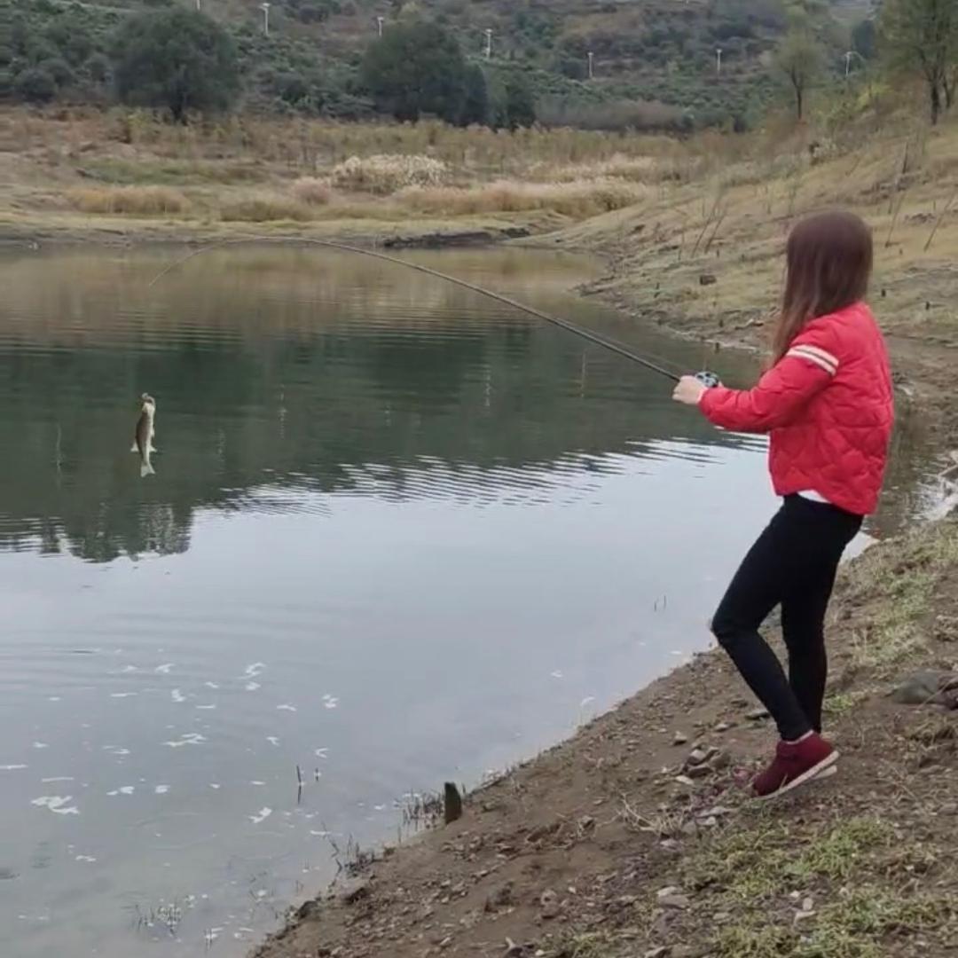 高处不胜寒🎣