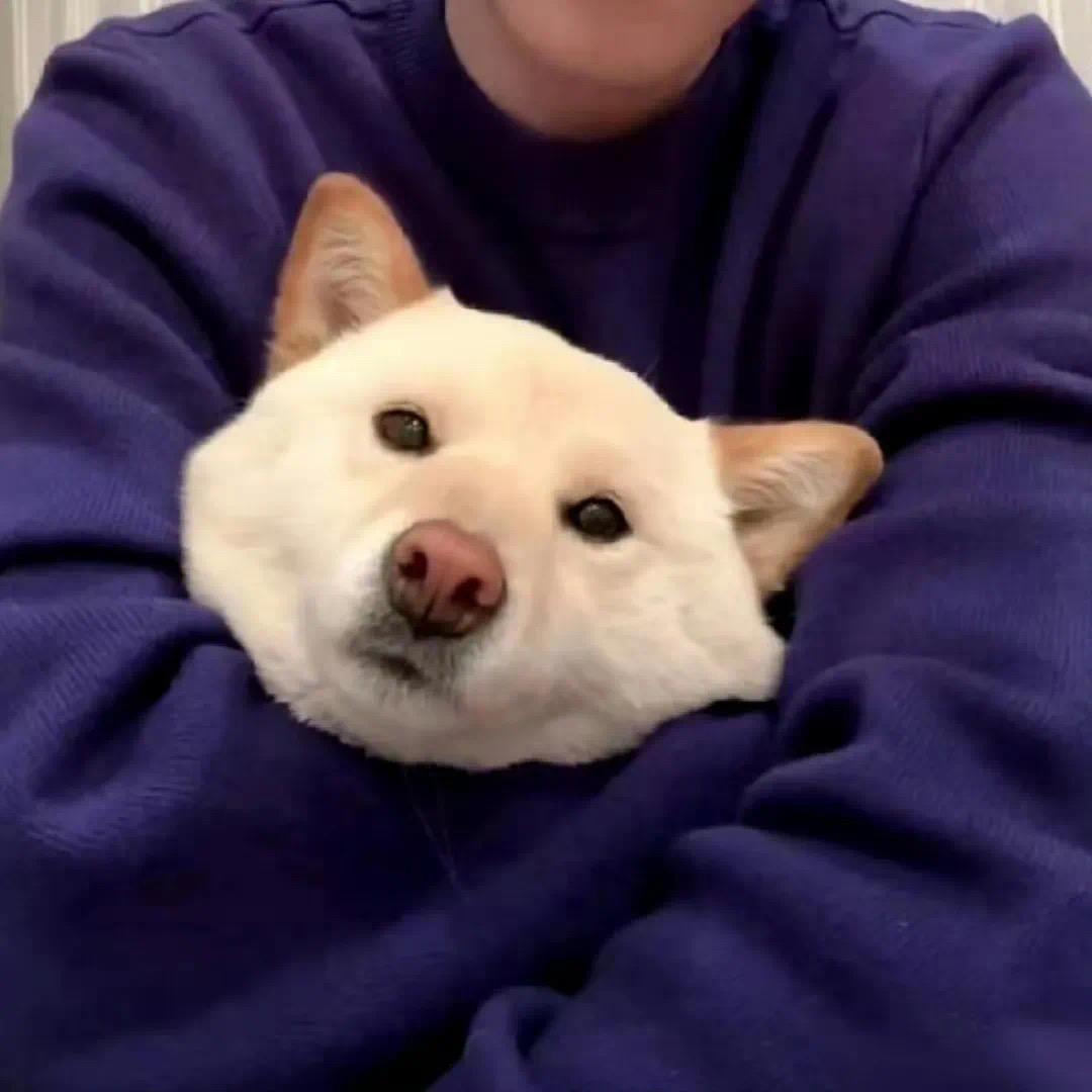 Jun常笑:)头像