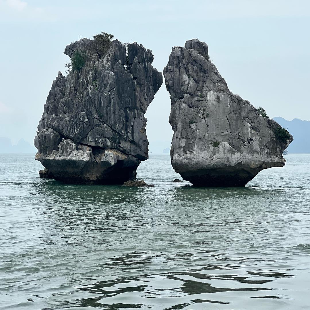 东莞&越南🇻🇳