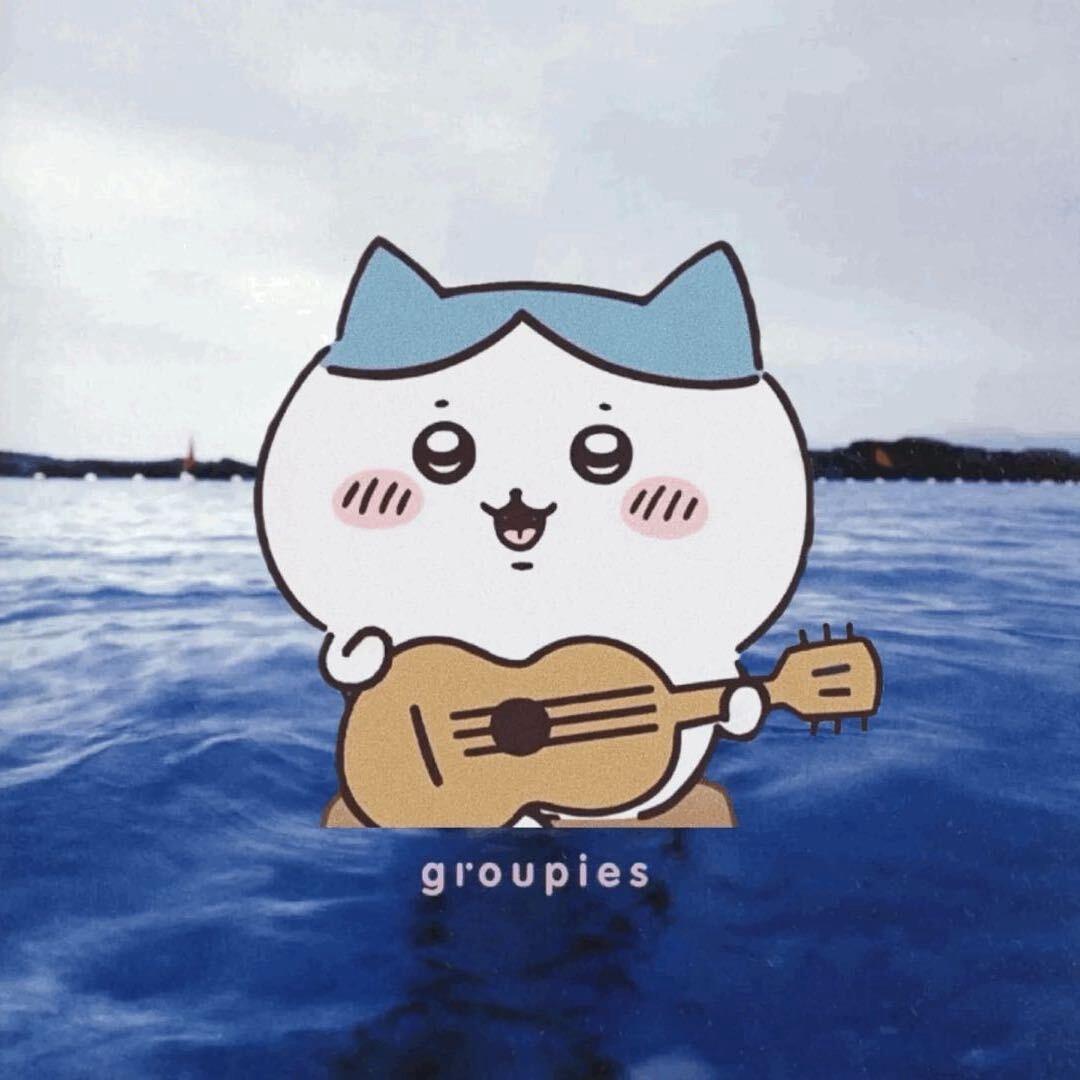 因为长得高吃不胖而不想谈恋爱的约德尔猫猫