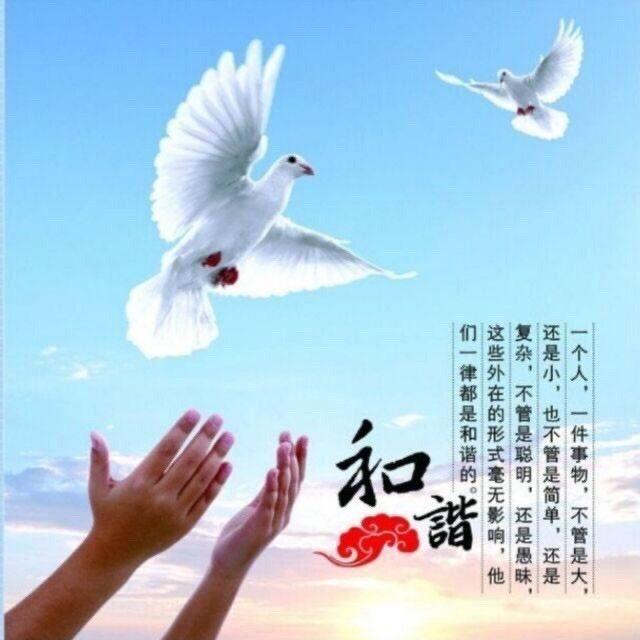 广东 如意