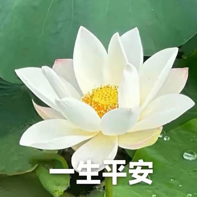 心连心一家人