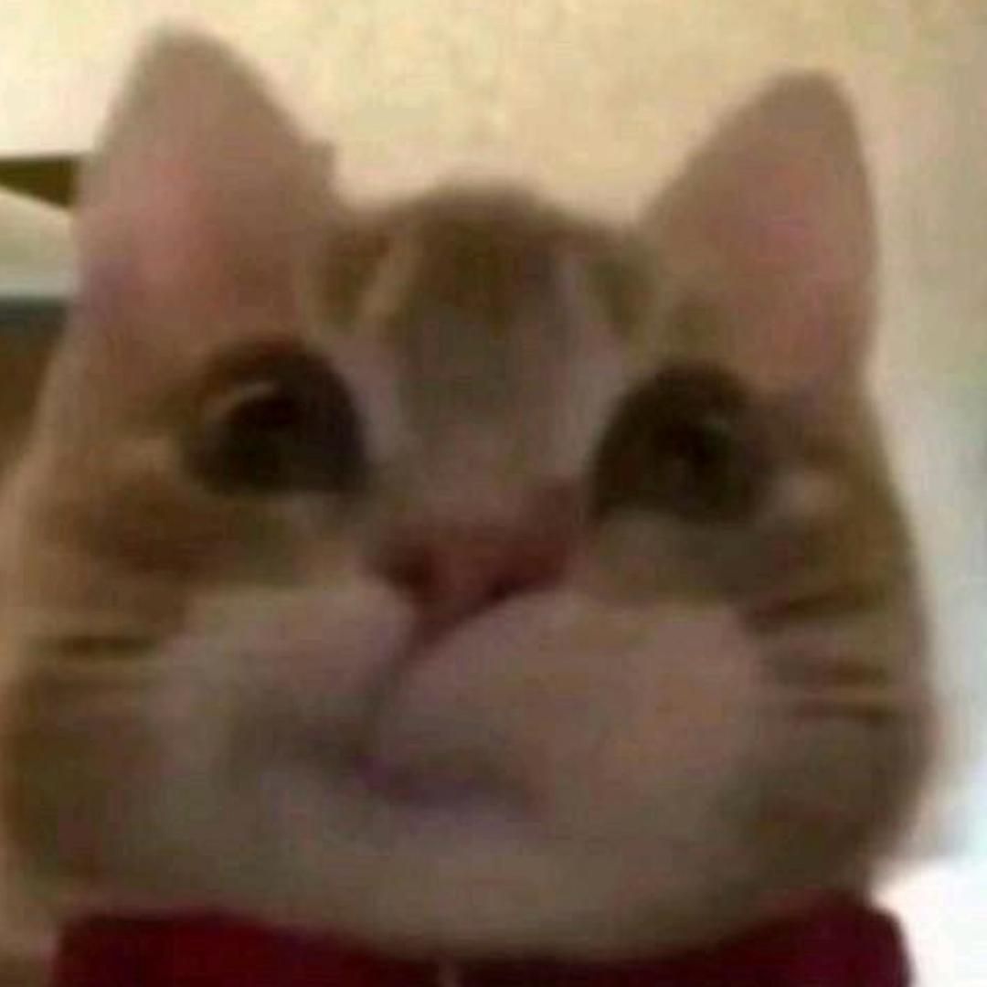 ໒꒰ྀི∩˃ ᵕ ˂沐